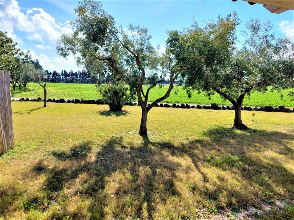 Appartamenti Sisula Manna Orosei Exterior foto